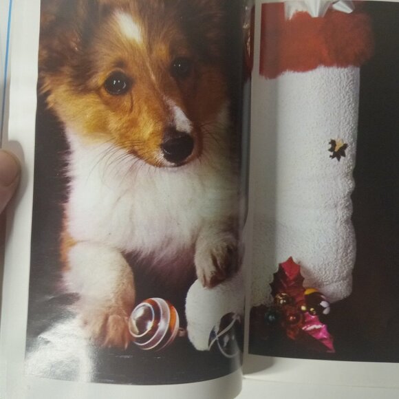 Shetland Sheepdogs by Mark Taynton and Beverly Pisano (1979, Hardcover) - Picture 4 of 7